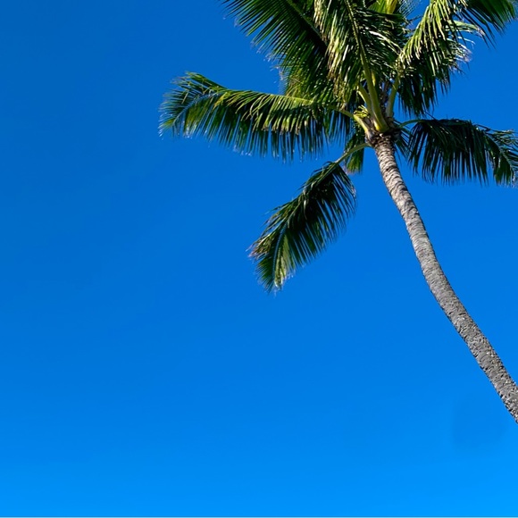 Poshmark - Picture 1 of 1